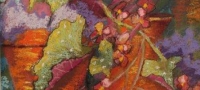 Begonia, pastel