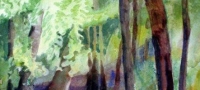 Trees, watercolor