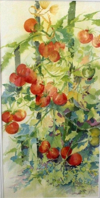 Tomatoes, watercolor